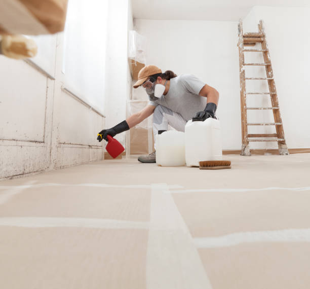 Mold Odor Removal Services in Chewelah, WA